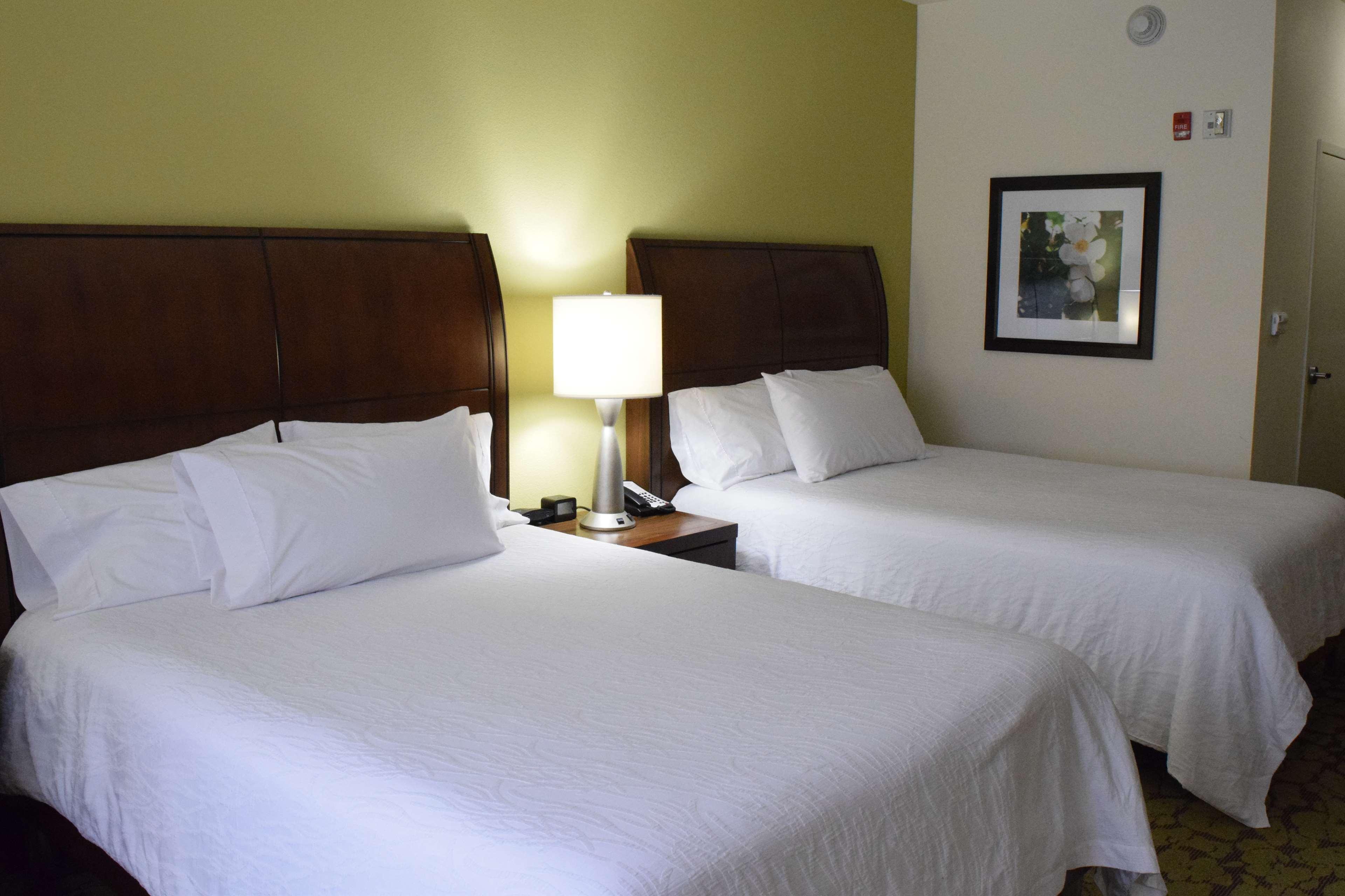 Hilton Garden Inn Rochester Downtown, Ny Eksteriør billede